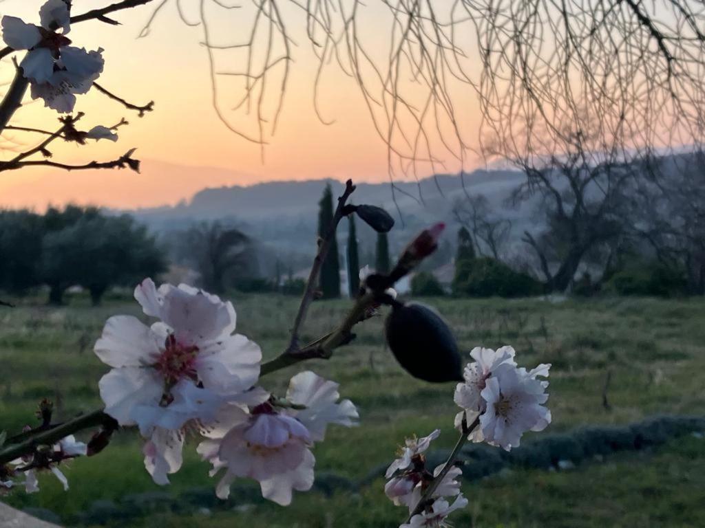 Gite Belle Vue Bed & Breakfast Visan Bagian luar foto